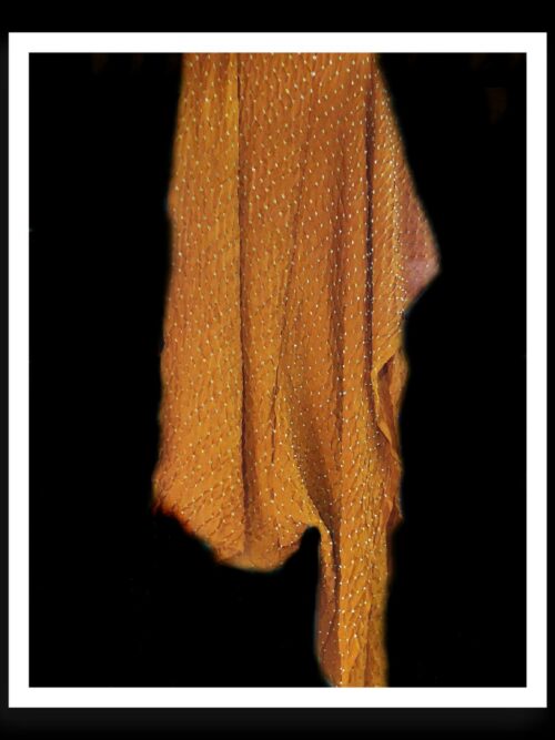 Rust Bandhani Dupatta Rai Dana Pure Modal Silk