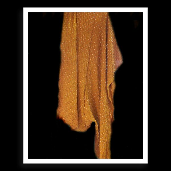 Rust Bandhani Dupatta Rai Dana Pure Modal Silk