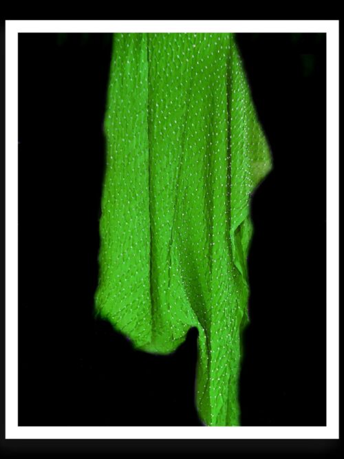 Parrot Bandhani Dupatta Rai Dana Pure Modal Silk