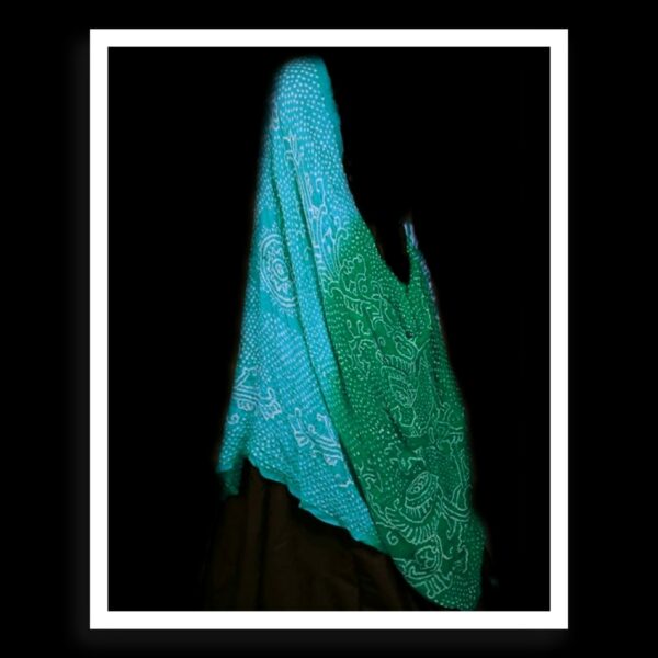 Sky Parrot Bandhani Dupatta Peacock Designer Pure GajiSilk