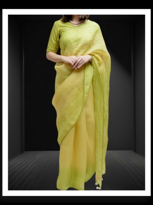 Lime Green Rai Dani Bandhani Saree Pure Gaji Silk