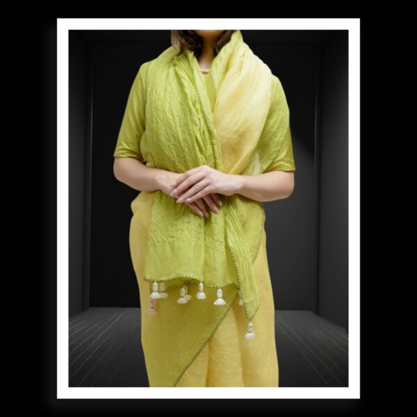 Lime Green Rai Dani Bandhani Saree Pure Gaji Silk - Image 4