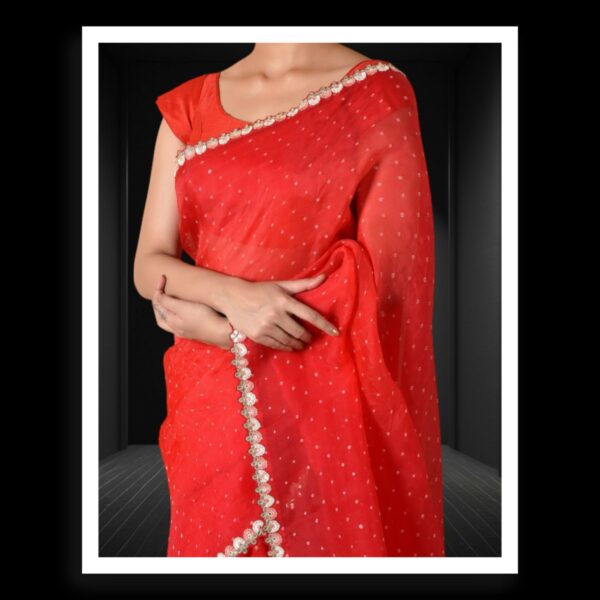 Red Rai Dani Bandhani Saree Pure Gaji Silk - Image 3