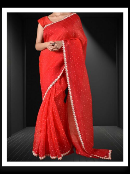 Red Rai Dani Bandhani Saree Pure Gaji Silk