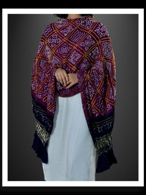 Designer Pure Gaji Silk Bavan Barg Rai Bandhani Dupatta โ Purple & Navy